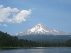 IMG_6326
