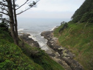 IMG_6334