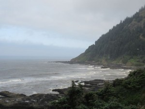IMG_6338