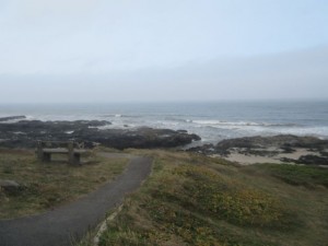 IMG_6410