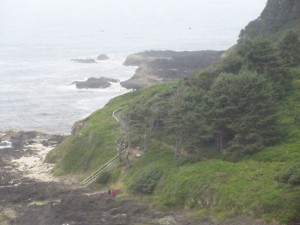 IMG_6425