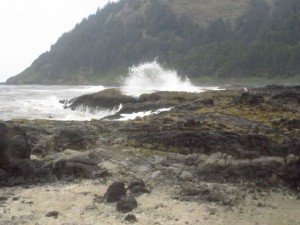 IMG_6449