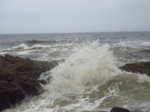 IMG_6482
