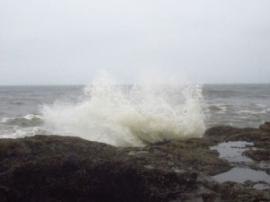 IMG_6489