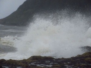 IMG_6542