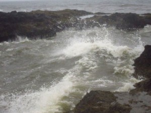 IMG_6592