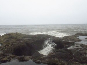 IMG_6635