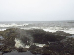 IMG_6639