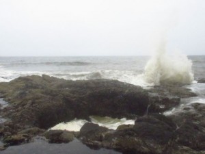 IMG_6640