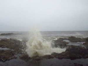 IMG_6695