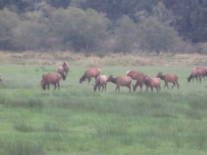 IMG_6806
