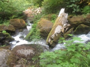 IMG_6830