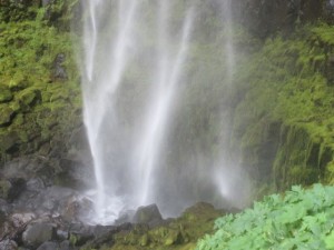 IMG_6856