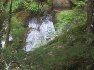 IMG_6904