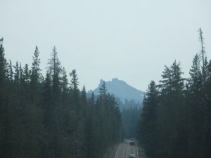 IMG_6925
