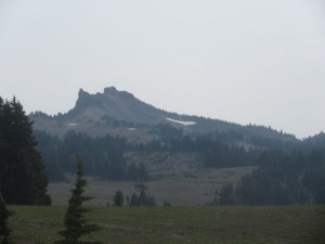 IMG_6931