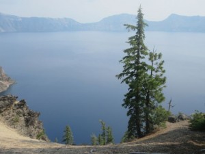 IMG_6942