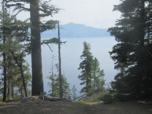 IMG_6951
