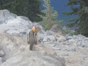 IMG_7012