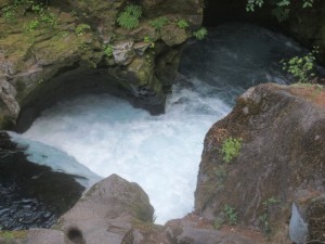 IMG_7083