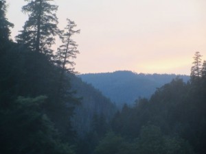IMG_7161