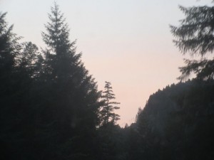 IMG_7164