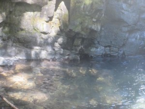 IMG_7221