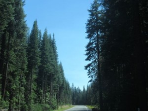 IMG_7263