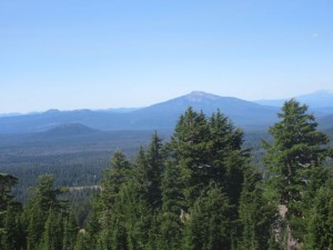 IMG_7271