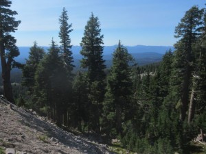 IMG_7332
