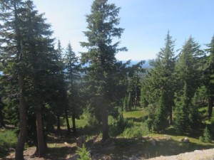 IMG_7340
