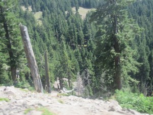 IMG_7345