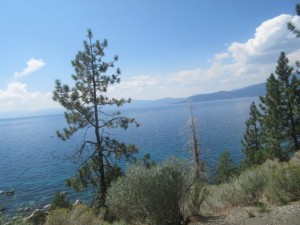 IMG_7391