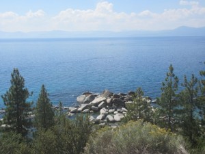 IMG_7393