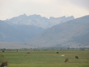 IMG_7422