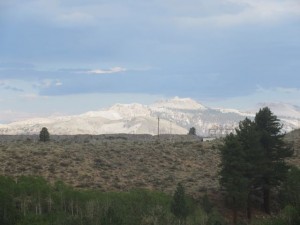 IMG_7430