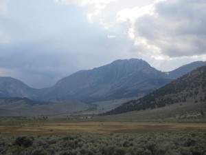 IMG_7435