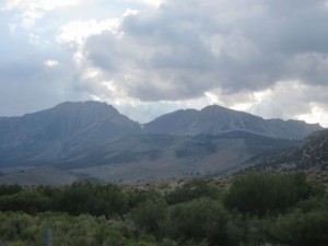 IMG_7437