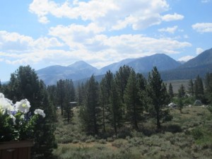 IMG_7470