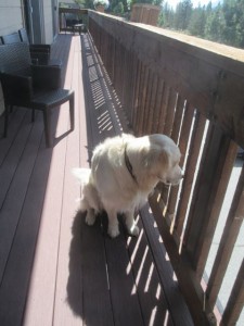 IMG_7473