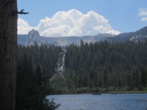 IMG_7481