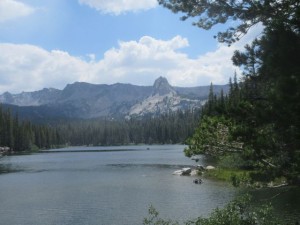 IMG_7485