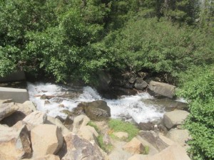 IMG_7492