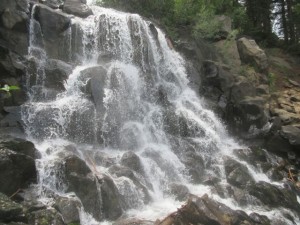 IMG_7505