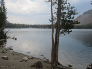 IMG_7521