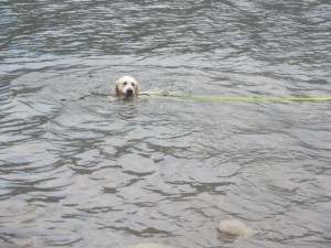 IMG_7547