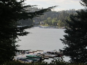IMG_3715