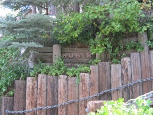 IMG_3737