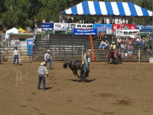 IMG_3824