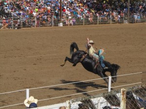 IMG_3825